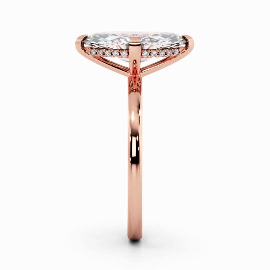 Xx Viva Marquise 00006 1