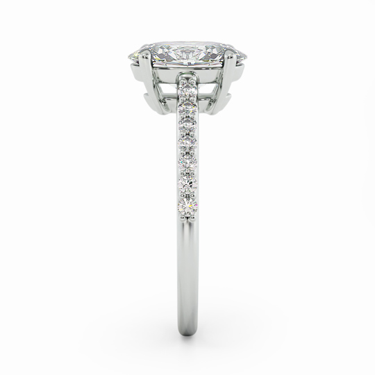 Wi Belle Diamond Band Oval 00001