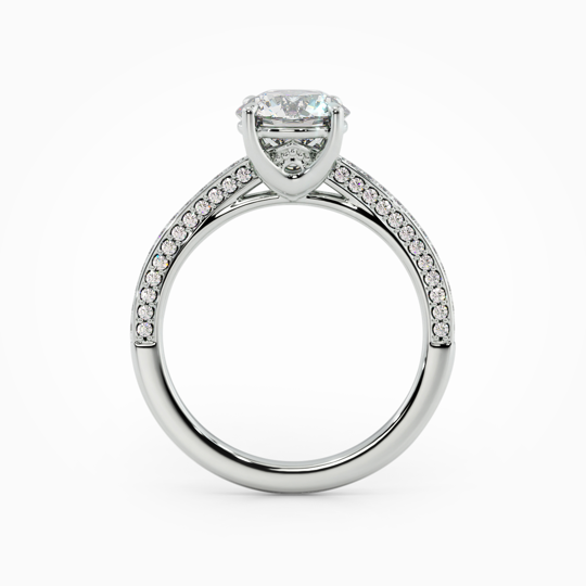 Wi Scintillance Round 00000 (2)