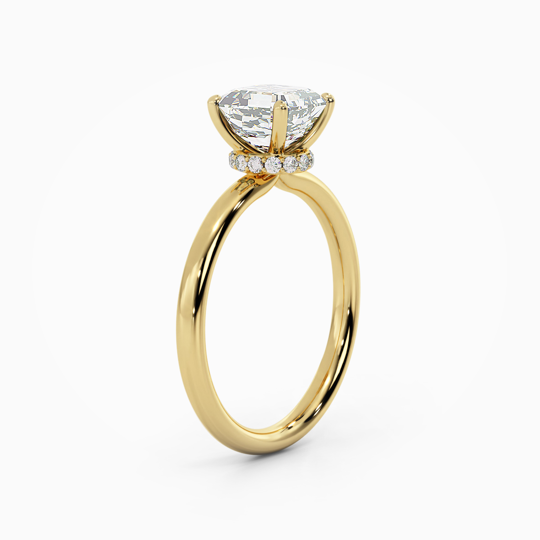 Wi Arabella Asscher 00007 (2)