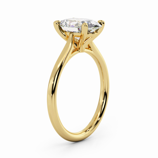 Wi Tulip Oval 00007
