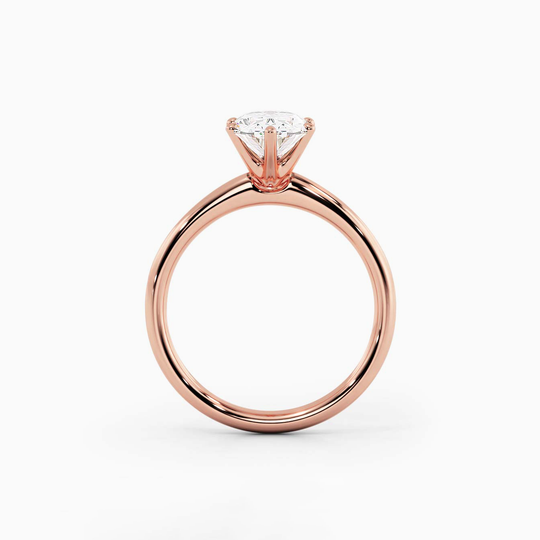 Wi Classic Oval 00005 (3)