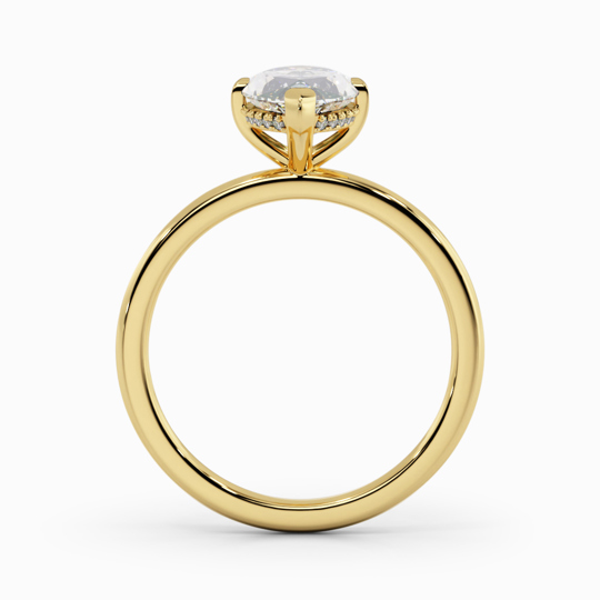 Xx Viva Marquise 00005