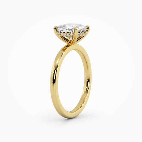 Xx Viva Cushion 00007 (1)