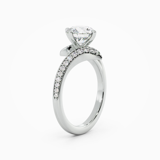 Wi Caress Round 00002 (2)