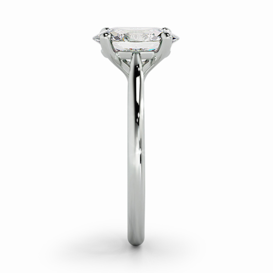 Wi Tulip Oval 00001