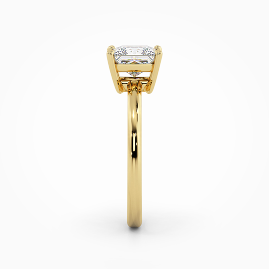 Wi Harmony Plain Princess 00006 1 (1)