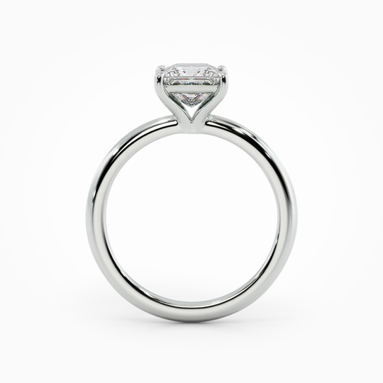 Wi Sorento Princess 00000 (2)