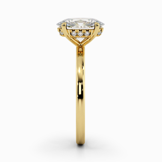 Xx Viva Oval 00006