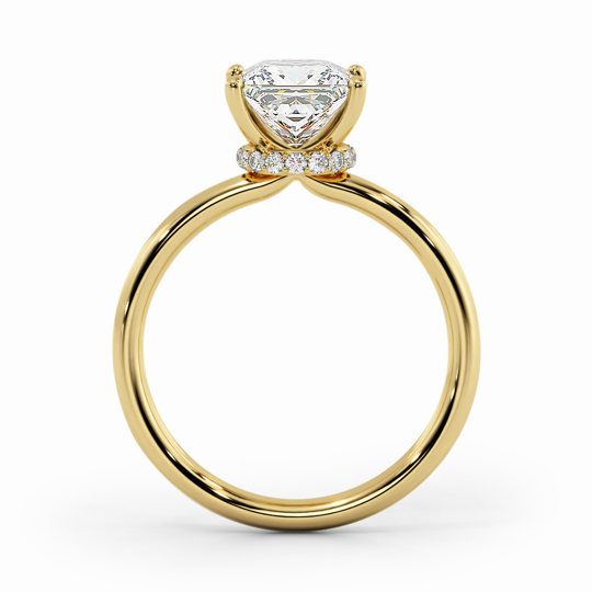 Wi Arabella Princess 00005