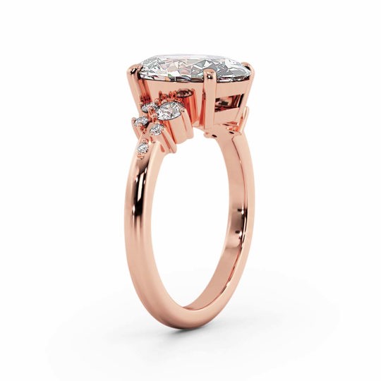 Savanah Arjun Bains Gjeffco 00007 (1)