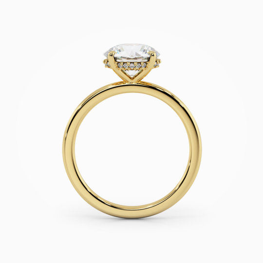 Xx Viva Round 00005 (1)