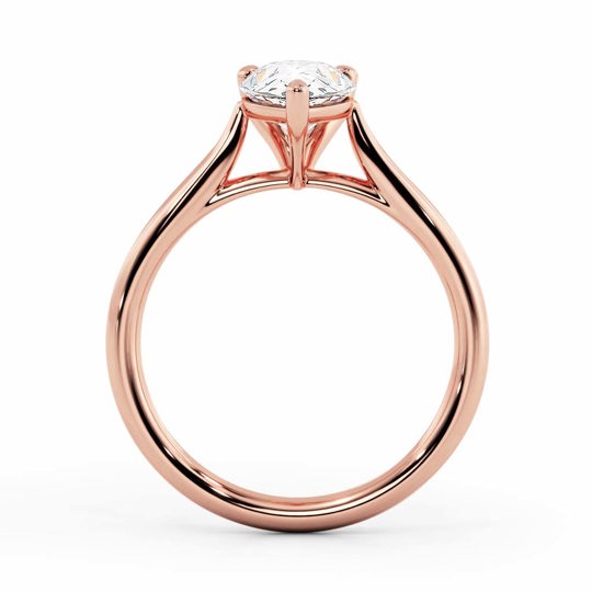 Wi Tulip Pear 00005 1