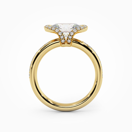 Wi Orion Oval 00005 (1)