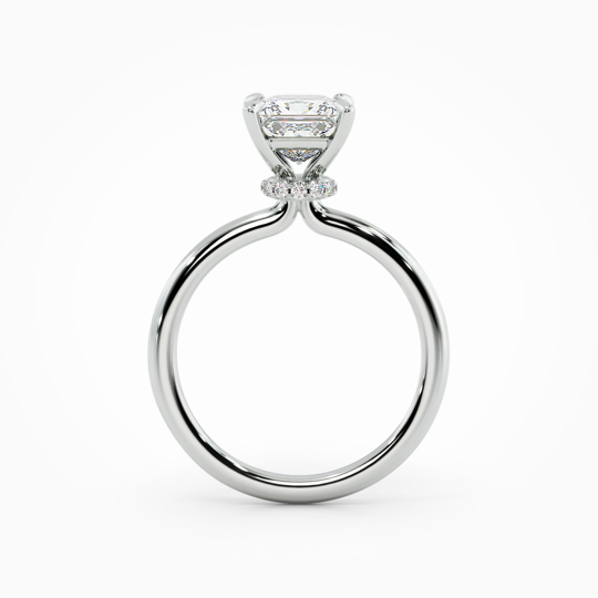 Wi Lucia Plain Princess 00000 (3)