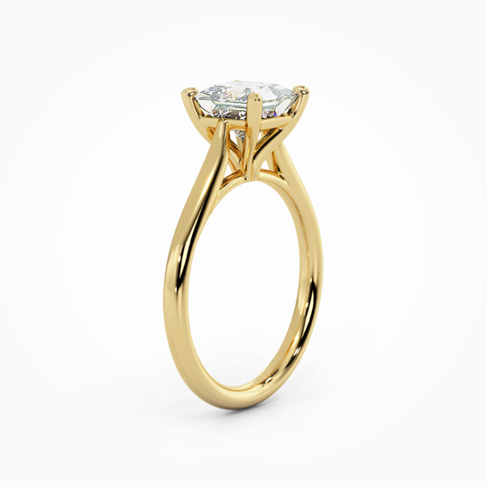 Wi Tulip Princess 00007 (1)