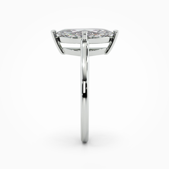 Wi Belle Marquise 00001 (5)