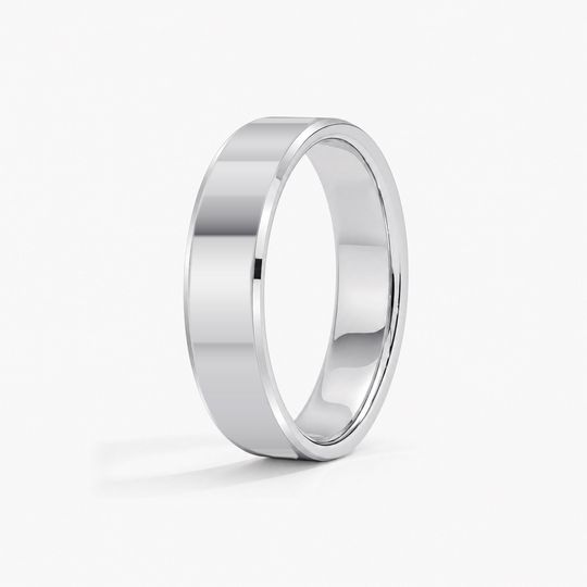 Bevelled 5Mm Platinum Polished 02 Standing
