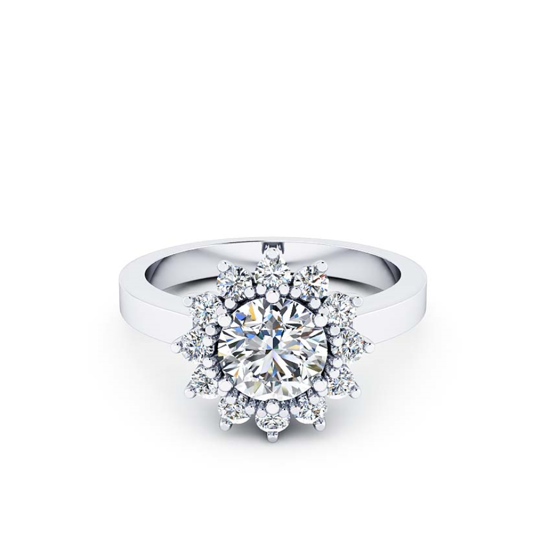 DAISY-8578.jpg