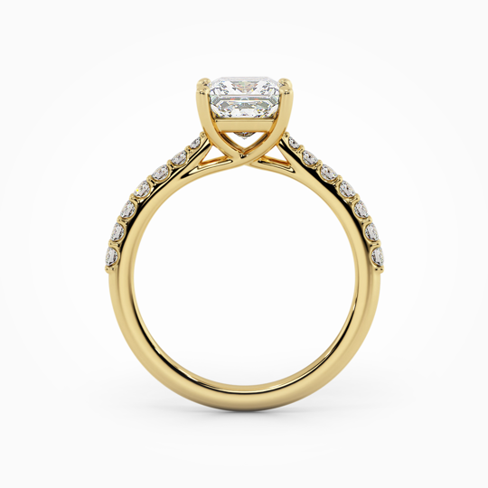 Wi Soleste Princess 00005 1 (1)