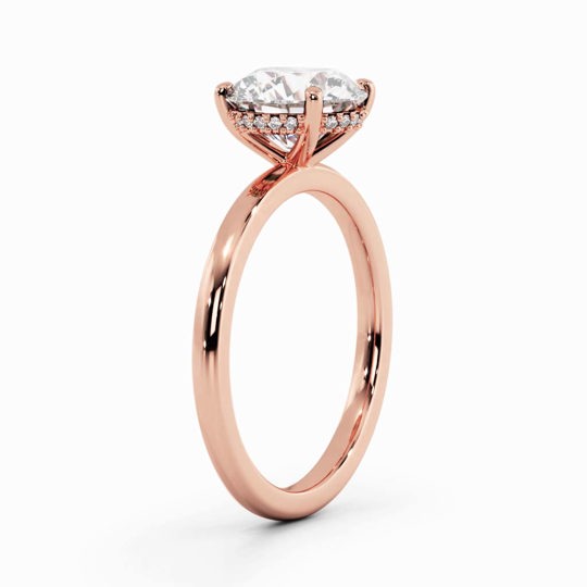 Xx Viva Round 00007 1