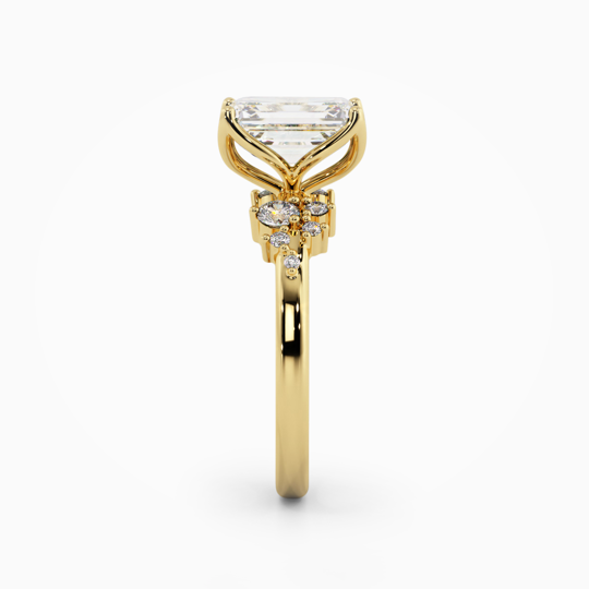Savannah Petal Emerald Cut 00006 (2)
