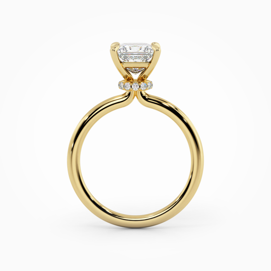 Wi Lucia Plain Princess 00005 (2)