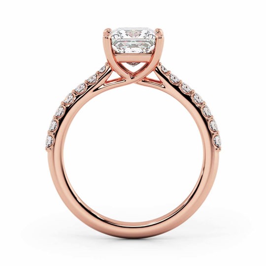 Wi Soleste Princess 00005 1