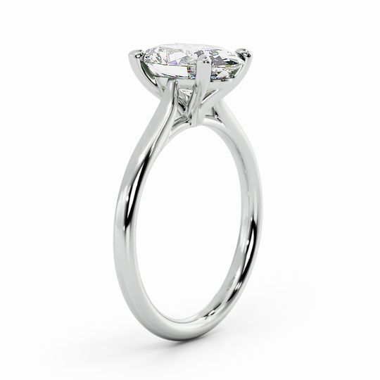 Wi Tulip Oval 00002