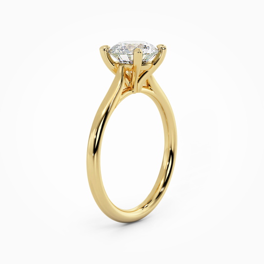 Wi Tulip Round 00007