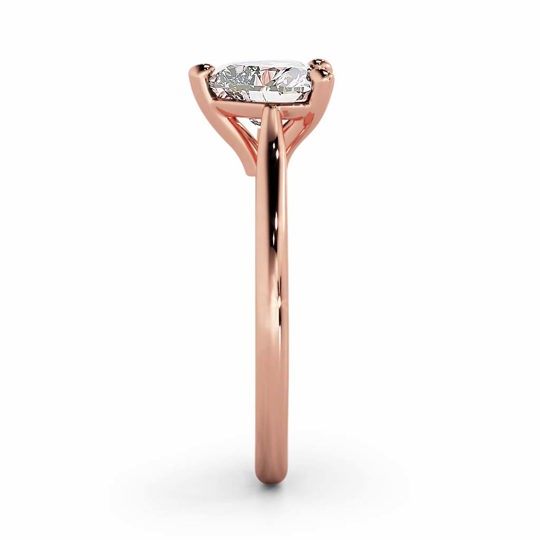 Wi Tulip Heart 00006 1