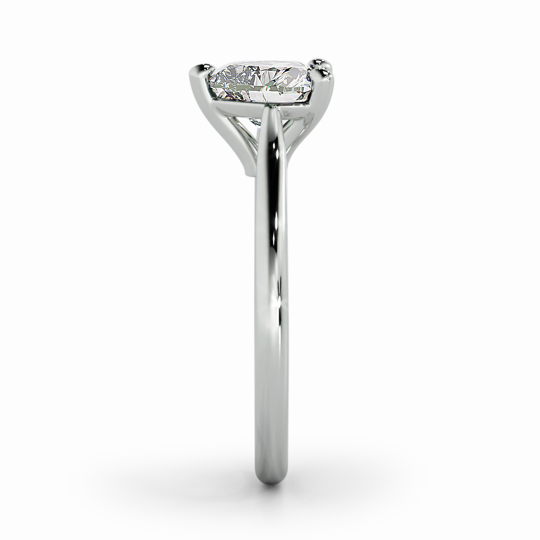 Wi Tulip Heart 00001