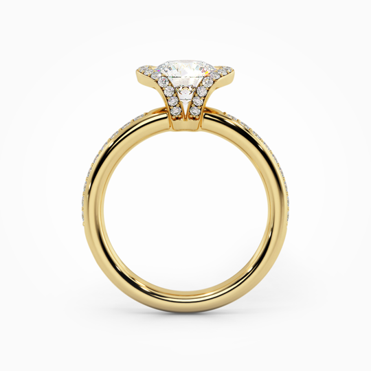 Wi Orion Round 00005 (1)