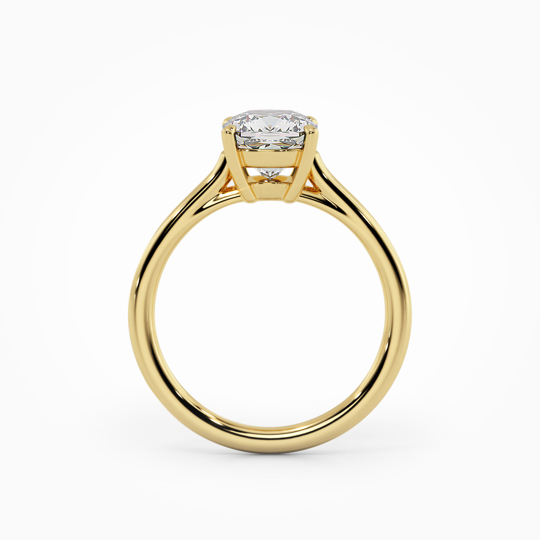 Wi Belle Cushion 00005 (1)