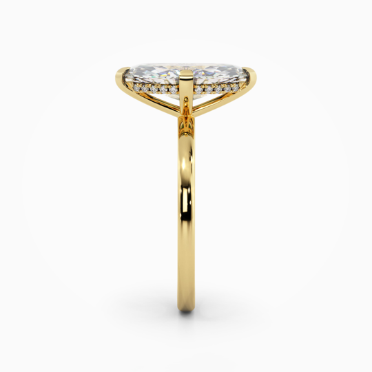 Xx Viva Marquise 00006 1 (1)