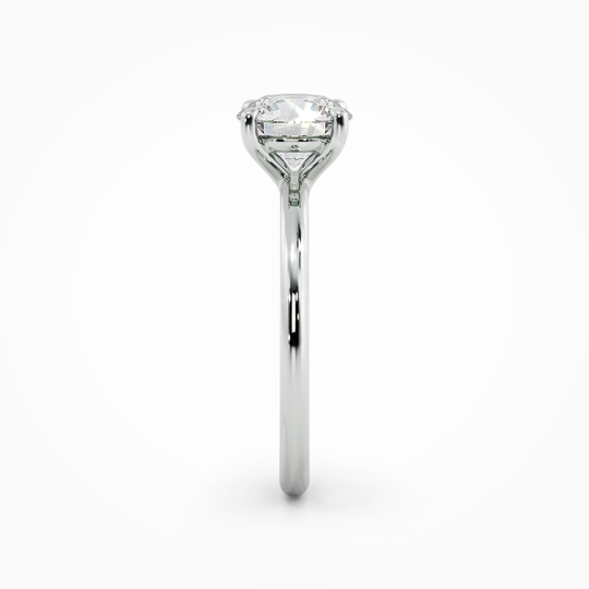 Wi Sorento Round 00001 (3)