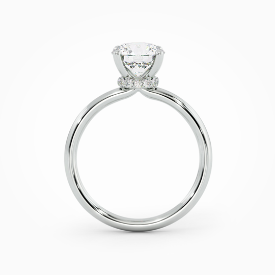 Wi Arabella Round 00000 (4)