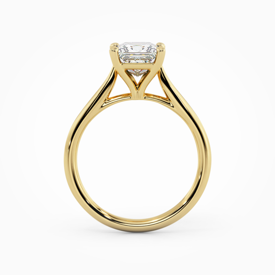 Wi Tulip Princess 00005 (1)