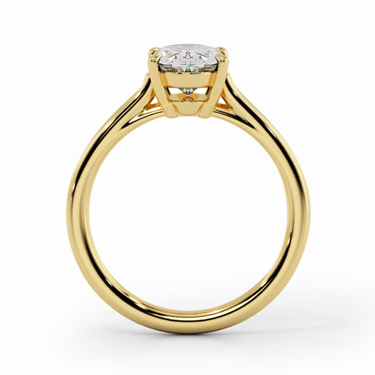 Wi Belle Oval 00005