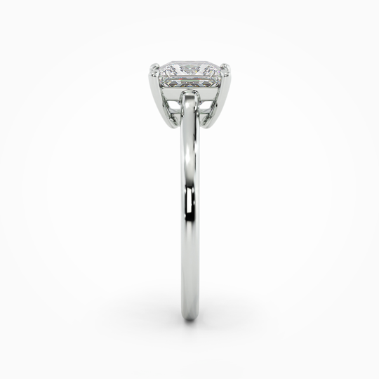 Wi Belle Princess 00001 (3)