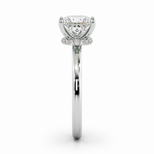 Wi Arabella Princess 00001