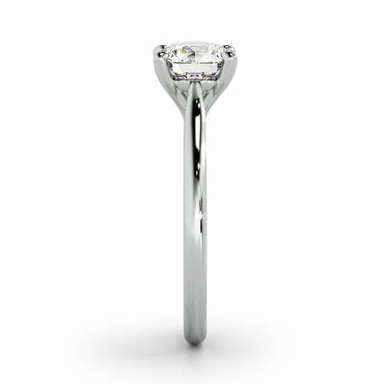 Wi Tulip Round 00001