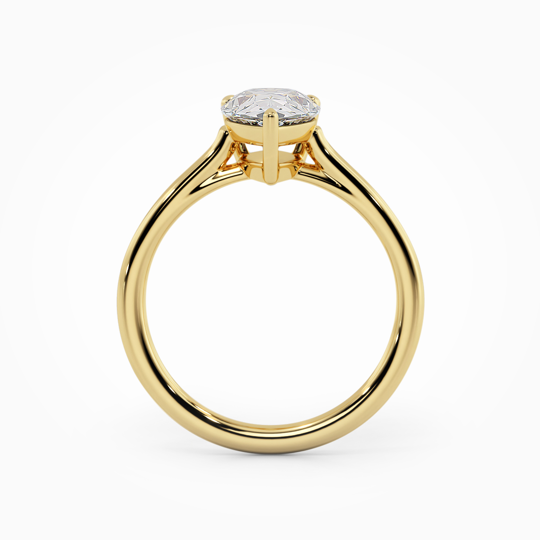 Wi Belle Pear 00005 (2)