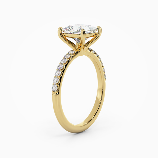 Wi Asteria Diamond Princess 00007 (1)