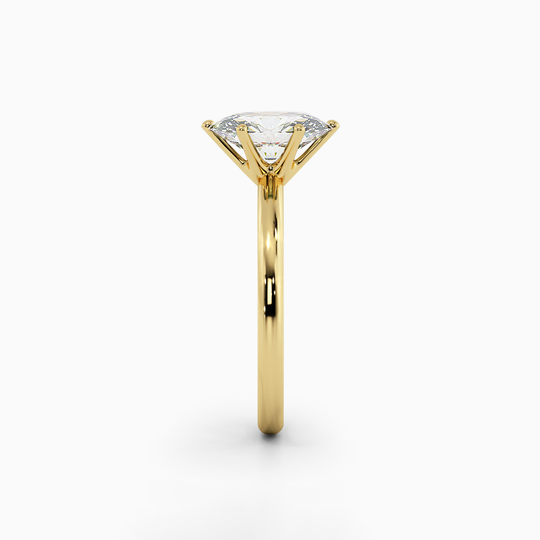 Wi Classic Oval 00006 (1)