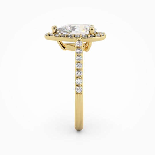 Wi Angel Pear 00006 (1)