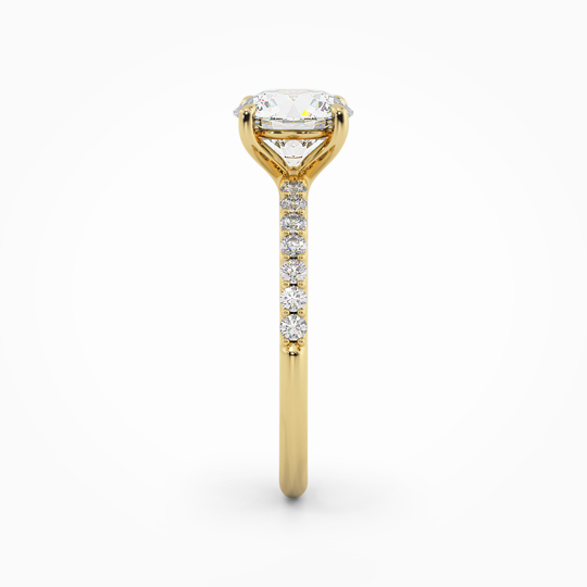 Wi Asteria Db Round 00006 (1)