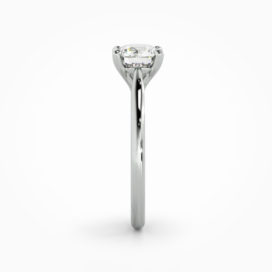 Wi Tulip Round 00001 (2)