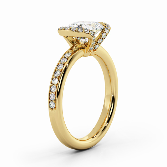 Wi Orion Oval 00007