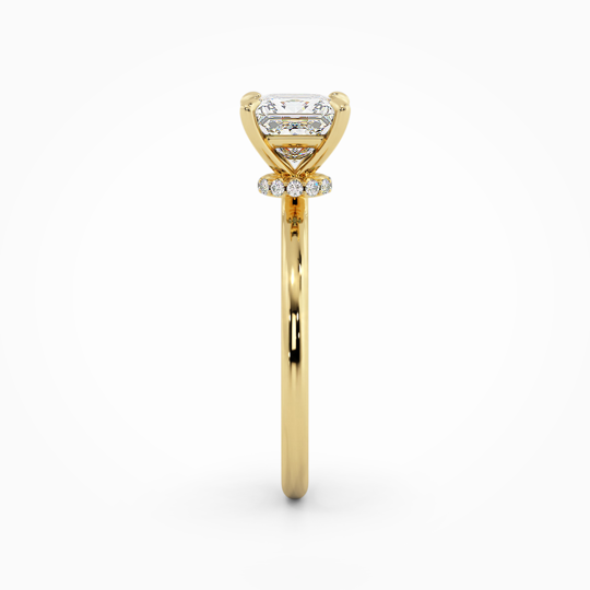 Wi Lucia Plain Princess 00006 (2)